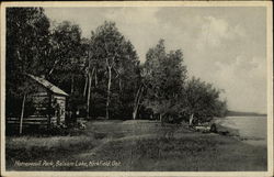 Homewood Park, Balsam Lake Postcard