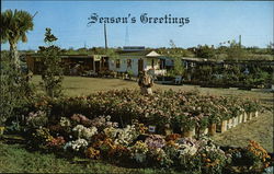 Beautiful North Haven Gardens Postcard