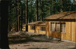 Pine Cottages Lassen Volcanic National Park Postcard Postcard Postcard