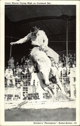 Junior Martin Flying High on "Carlsbad Bat" Postcard