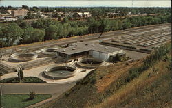 Feather River Fish Hatchery Postcard