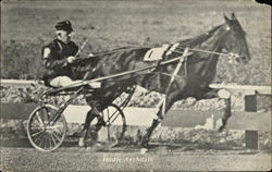 Dudie Archdale Horse Racing Postcard Postcard Postcard