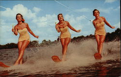 Water Skiing at Beautiful Cypress Gardens Winter Haven, FL Postcard Postcard Postcard