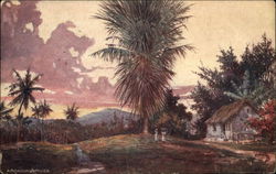 Arcadia, Jamaica Postcard Postcard