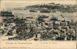 Souvenir de Constantinople Constaninople (Istanbul), Turkey Greece, Turkey, Balkan States Postcard Postcard