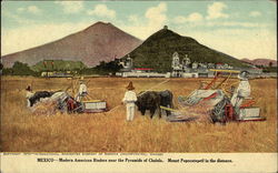 Mexico - Modern American Binders near the Pyramids of Cholula Postcard Postcard