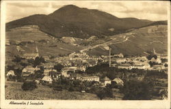 View of Town Postcard