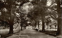 Clifton Promenade Postcard