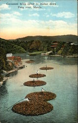 Coconuts Being Rafted to Market on Pasig River Manila, Philippines Southeast Asia Postcard Postcard