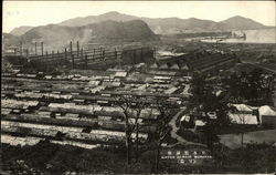 Nippon Seikojo Muroran Japan Postcard Postcard