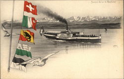 Steamer "Hallwyl", Lake Neuchatel Postcard