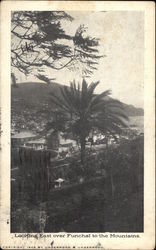 Looking East over Funchal to Mountains Madeira Portugal Postcard Postcard Postcard