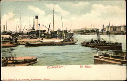 Maas River Postcard