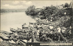 Unloading Bananas on Chagres Bohio, Panama Postcard Postcard