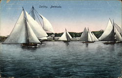 Ships Sailing Bermuda Postcard Postcard