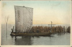 Sailboat moored among reeds Postcard