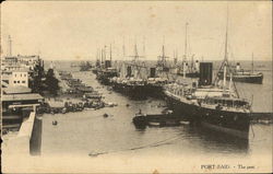 View of the Port Postcard