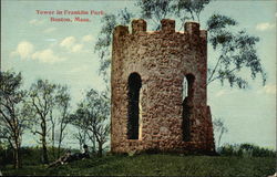 Tower in Franklin Park Postcard