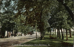 Front Street Along Susquehanna River Postcard