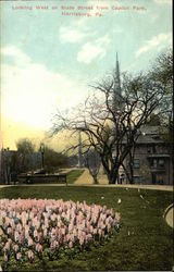 Looking West on State Street from Capitol Park Postcard