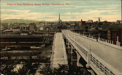 View of New Mulberry Street Bridge Postcard