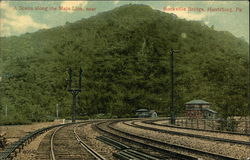 A Scene Along Main Line Near Rockville Bridge Harrisburg, PA Postcard Postcard Postcard