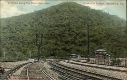 A Scene Along Main Line Near Rockville Bridge Harrisburg, PA Postcard Postcard Postcard