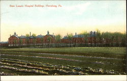 State Lunatic Hospital Buildings Postcard