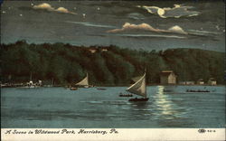 A Scene in Wildwood Park Postcard