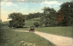 A Scene in Cameron Extension Park Harrisburg, PA Postcard Postcard Postcard