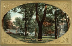 Grove In Capital Park Postcard