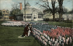 Hyacinth Beds and Conservatories, Capitol Park Postcard