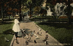 Feeding the Pigeons in Capitol Park Postcard