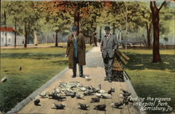 Feeding the Pigeons in Capitol Park Postcard