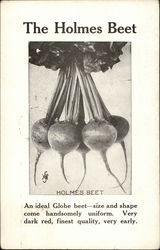 Holmes Seed Co. - The Holmes Beet Postcard