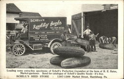 Schell's Seed Store Postcard