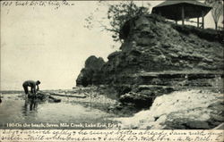 On the Beach, Seven Mile Creek, lake Erie Postcard