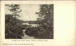 Foilage and Water Scene Postcard