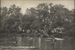 Independence Island Bathing Pool Harrisburg, PA Postcard Postcard Postcard