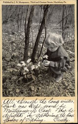 Boy Looking at Flower in Park Harrisburg, PA Postcard Postcard Postcard