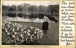 View of Lake in Park Harrisburg, PA Postcard Postcard Postcard