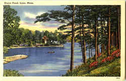 Sluice Pond Postcard