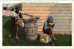 Yielding To Temptation Down In Sunny Dixie Postcard