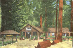 Big Basin Lodge Postcard