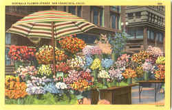 Sidewalk Flower Stands San Francisco, CA Postcard Postcard