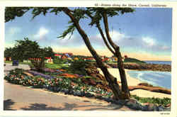 Homes Along The Shore Postcard