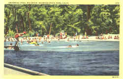 Swimming Pool , Big Basin Redwood State Park Postcard