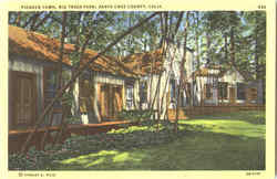 Pioneer Town , Big Trees Park Postcard