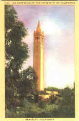 The Campanile Of The University Of California Postcard