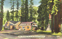 New Hartsook Inn On The Redwood Highway Postcard